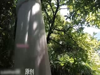 冷S猫奴小树林露出自慰喷尿自虐2